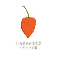 habanero Pepe piatto design vettore illustrazione. capsico chinense habanero chili.