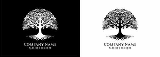 albero di vita quercia banyan foglia e radice foca emblema francobollo logo design ispirazione vettore