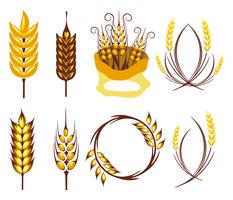 Vettore libero di simbolo di agricoltura delle orecchie del grano