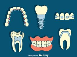 Vettore dell'elemento dentale