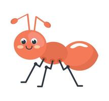 arancia formica insetto animale vettore