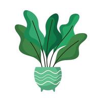 pianta d'appartamento in vaso verde vettore