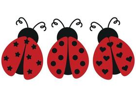 coccinella cartone animato impostare. insetto carino illustrazione isolato su bianca sfondo vettore