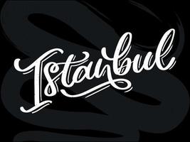 Istanbul. scritte a mano. logo vettoriale di Istanbul in colore nero con gabbiani su sfondo bianco. prodotti souvenir, emblema banner, blog di viaggio social media, brochure, volantino. illustrazione digitale.