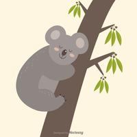 Koala australiano sveglio che dorme in un vettore dell'albero di gomma