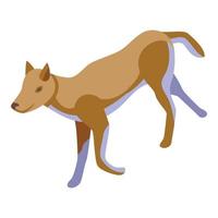 natura cane icona isometrico vettore. selvaggio animale vettore