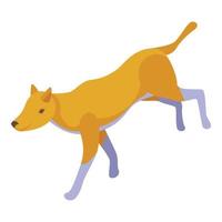 selvaggio cane mammifero icona isometrico vettore. animale natura vettore