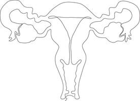 continuo linea arte disegno di femmina riproduttore utero vettore