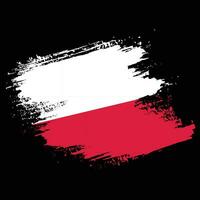 professionale Polonia grunge bandiera vettore