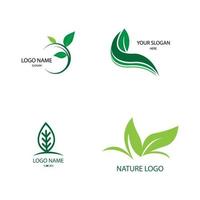 foglia natura logo concetto modello vettore