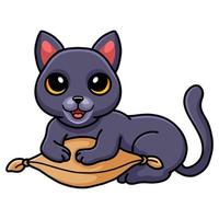 carino certosino gatto cartone animato su il cuscino vettore