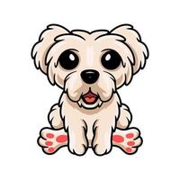 carino maltese cucciolo cane cartone animato vettore