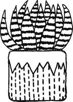 cactus pianta ornamento vettore illustrazione nel nero e bianca colori