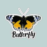 bellissimo colorato farfalle. farfalla illustrazione per adesivi o Stampa. farfalla vettore design