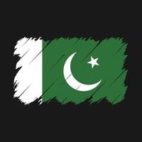 Pakistan bandiera spazzola vettore