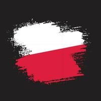dipingere inchiostro spazzola ictus Polonia bandiera vettore