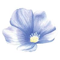blu-viola lino fiore. un' blu fiore dipinto nel acquerello. selvaggio primavera acquerello fiore. un isolato elemento di il lino illustrazione. vettore