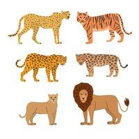 cartone animato grande gatti vettore impostare. illustrazione di giaguaro, leopardo, ghepardo, tigre, Leone, leonessa. differenze. macchie pelle.