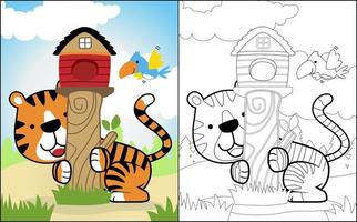 colorazione libro o pagina di divertente animali cartone animato, tigre giocando con uccello nel foresta, uccelli gabbia su albero ceppo vettore