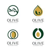 oliva olio logo bellezza e terme design modello vettore