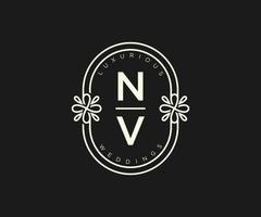 nv iniziali lettera nozze monogramma loghi modello, mano disegnato moderno minimalista e floreale modelli per invito carte, Salva il Data, elegante identità. vettore