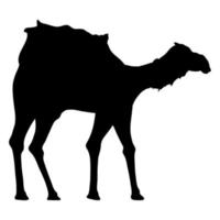 cammello animale nero silhouette vettore