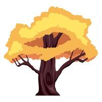 autunno albero pianta foresta vettore
