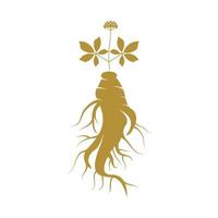 ginseng logo design modello e simbolo icona vettore