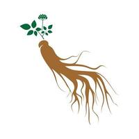 ginseng logo design modello e simbolo icona vettore