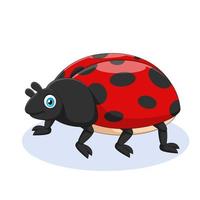 carino coccinella cartone animato vettore illustrazione. carino animale cartone animato