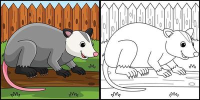 opossum animale colorazione pagina colorato illustrazione vettore