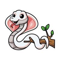 carino leucistico cobra serpente cartone animato su albero ramo vettore