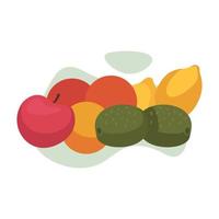 frutta vettore illustrazione, grafico design.