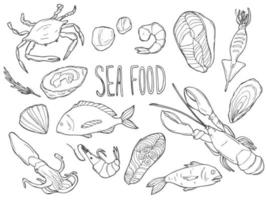 mano disegnato frutti di mare impostare. decorativo icone calamaro, polpo, salmone, Ostriche, scaloppine, aragosta, rosso pertica ,granchio, mollusco e cozze. vettore illustrazione nel vecchio inchiostro stile