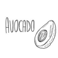 avocado vettore mano disegnato lettering con avocado illustrazione