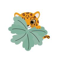 carino leopardo bambino sembra su a partire dal dietro a un' cespuglio. vettore illustrazione di selvaggio animale nel infantile cartone animato piatto stile.
