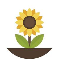 girasole illustrazione nel minimo stile vettore