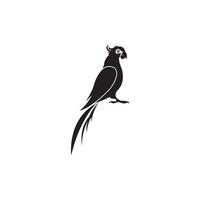 pappagallo icona vettore illustrazione design