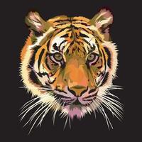 vettore tigre testa vista.in pericolo animale.