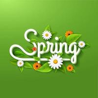 fresco primavera sfondo manifesto con foglie, camomilla e fiori su verde vettore