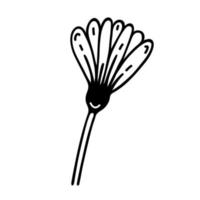 camomilla germoglio vettore icona. mano disegnato Vintage ▾ fiore isolato su bianca. prato, campo, giardino pianta. medicinale fiori di campo. semplice scarabocchio, botanico schizzo. clipart per carte, manifesti, stampe, ragnatela