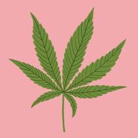 semplicità foglia di cannabis disegno a mano libera design piatto. vettore