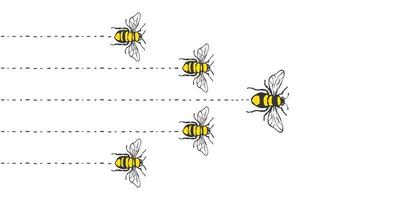 ape volare. volo di api con capo. mano disegnato api. vettore illustrazione