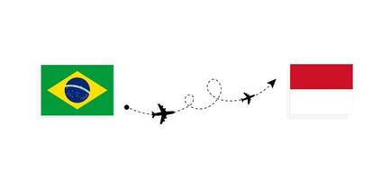 volo e viaggio a partire dal brasile per monaco di passeggeri aereo viaggio concetto vettore
