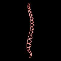 neon colonna vertebrale umano spinale laterale Visualizza vertebre dorsale vertebre rosso colore vettore illustrazione Immagine piatto stile