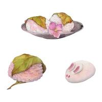 acquerello mano disegnato tradizionale giapponese dolci. primavera wagashi, sakura mochi, daifuku, ciliegia. isolato su bianca sfondo. design per inviti, ristorante menù, saluto carte, Stampa, tessile vettore