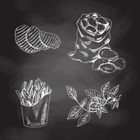 mano disegnato schizzo stile impostato illustrazione di maturo patate. bianca schizzo isolato su nero lavagna. eco cibo Vintage ▾ vettore illustrazione.