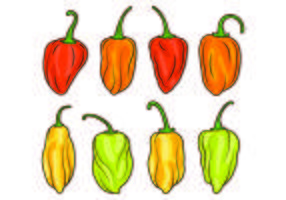 Set di Chili Habanero Vector