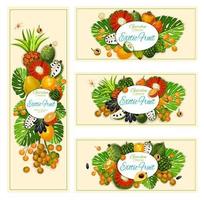 esotico tropicale frutta raccogliere banner vettore