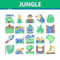 giungla tropicale foresta collezione icone impostato vettore